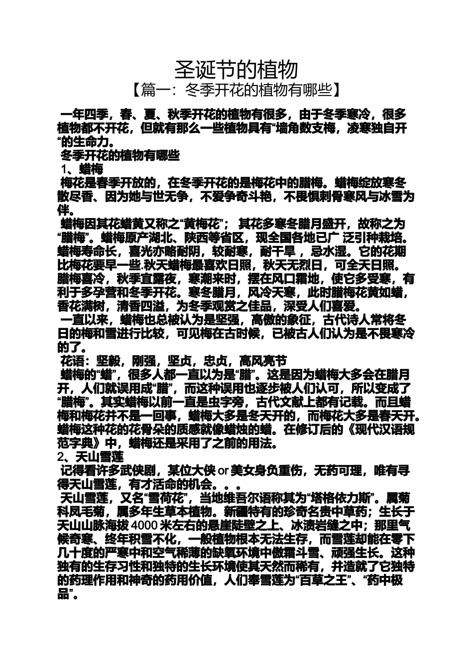 圣诞节的植物_第1页
