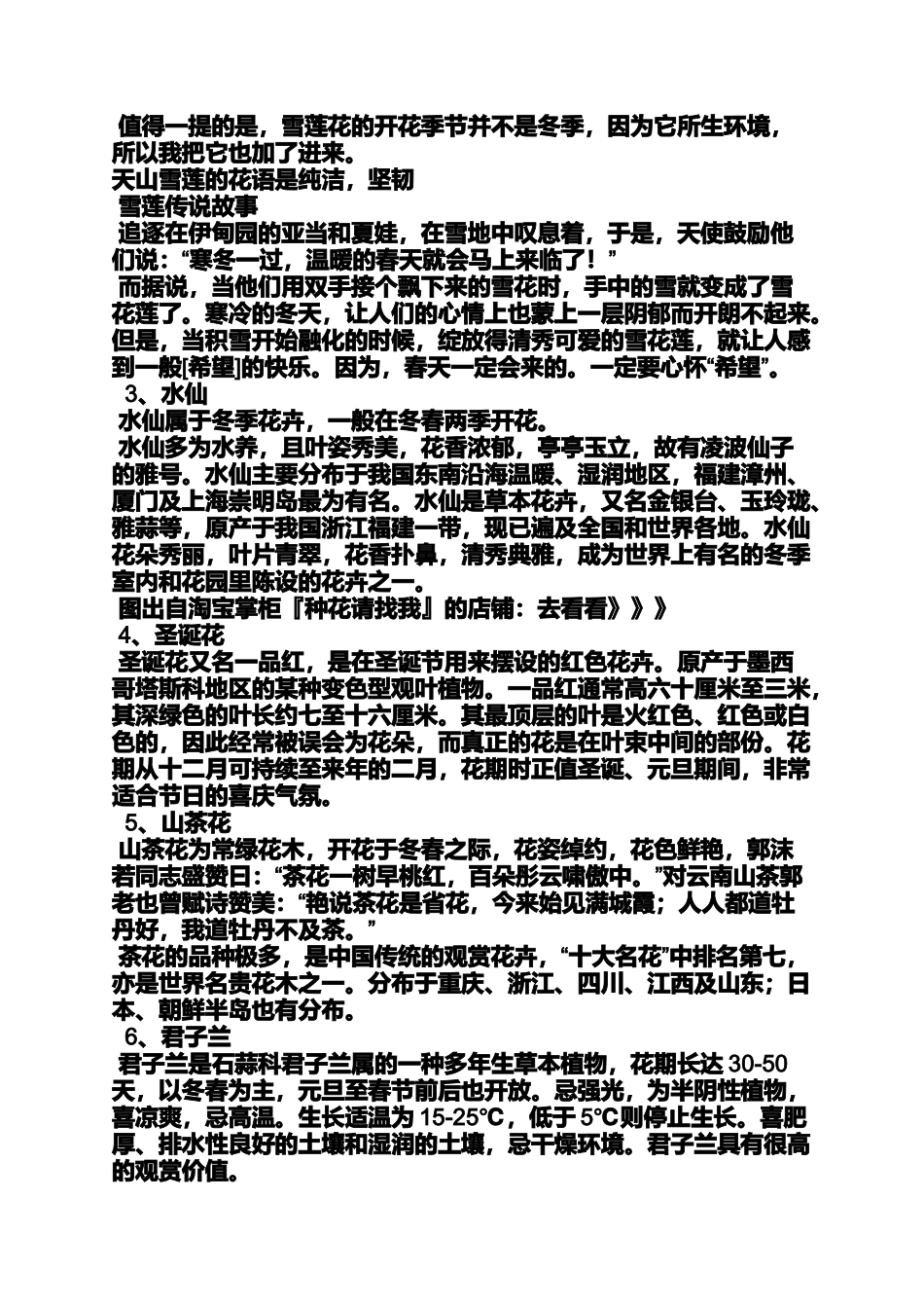圣诞节的植物_第2页