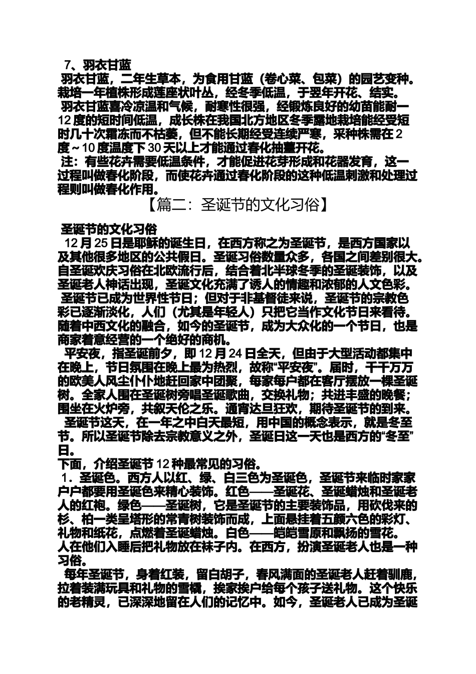 圣诞节的植物_第3页