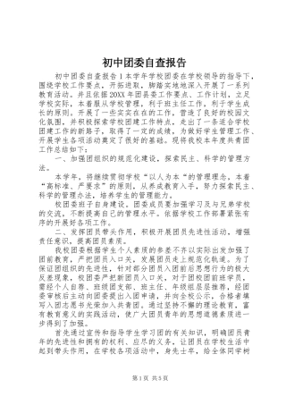 2024年初中团委自查报告