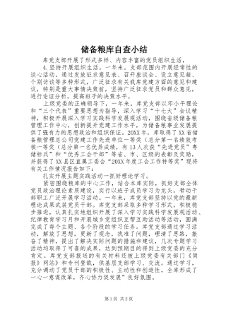 2024年储备粮库自查小结