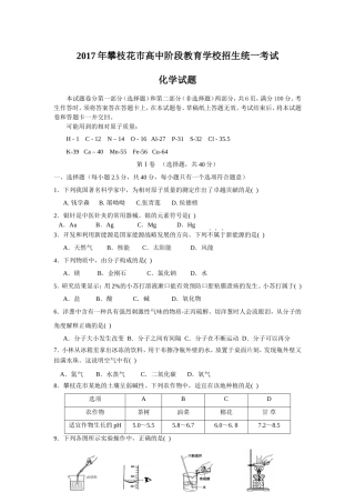 四川省攀枝花市2017年中考化学试题(含解析)