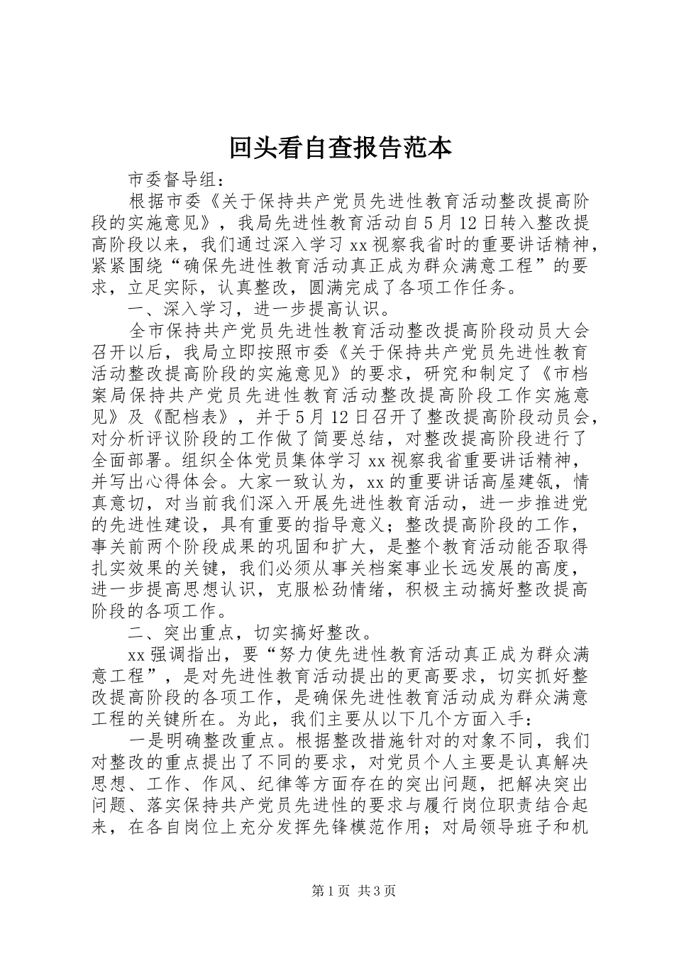 2024年回头看自查报告范本_第1页