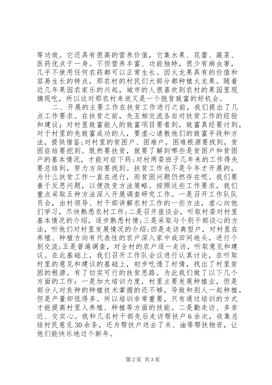 2024年回乡过节期间扶贫报告_第2页