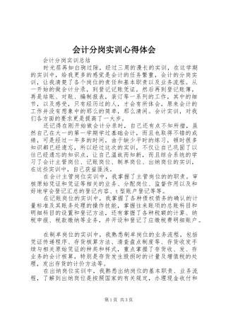 2024年会计分岗实训心得体会