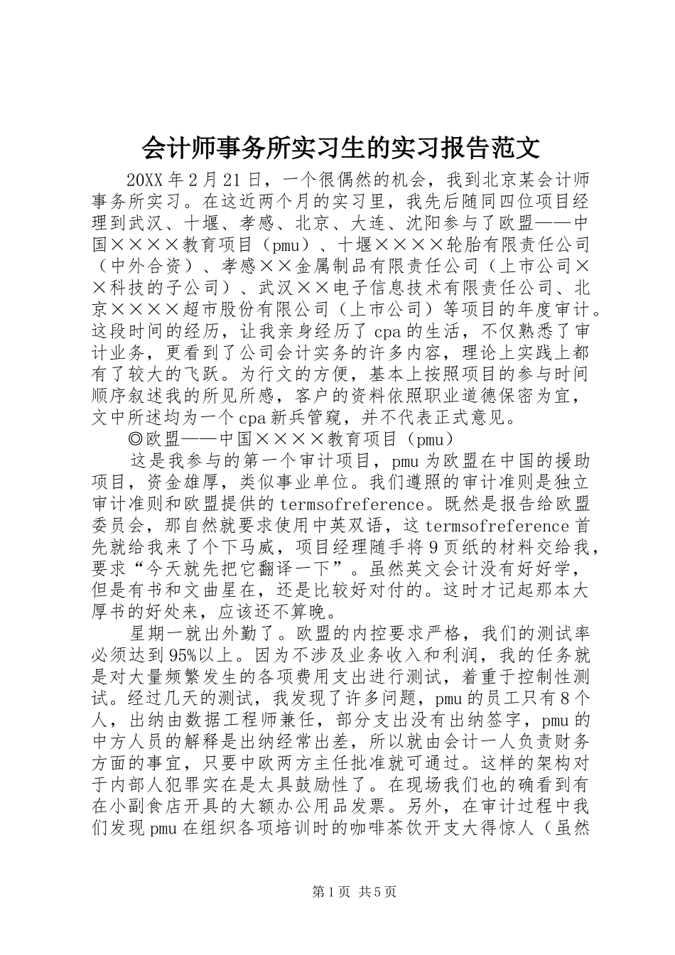 2024年会计师事务所实习生的实习报告范文_第1页