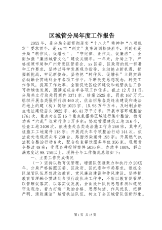 2024年区城管分局年度工作报告