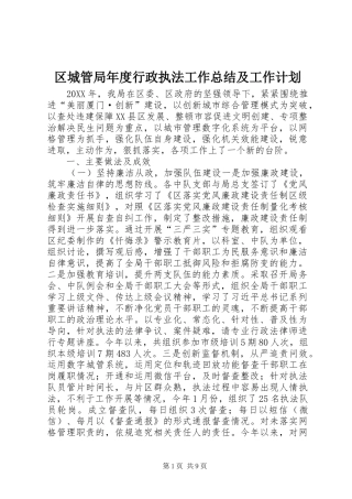 2024年区城管局年度行政执法工作总结及工作计划