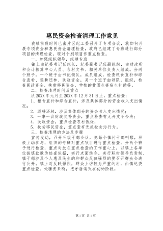 2024年惠民资金检查清理工作意见