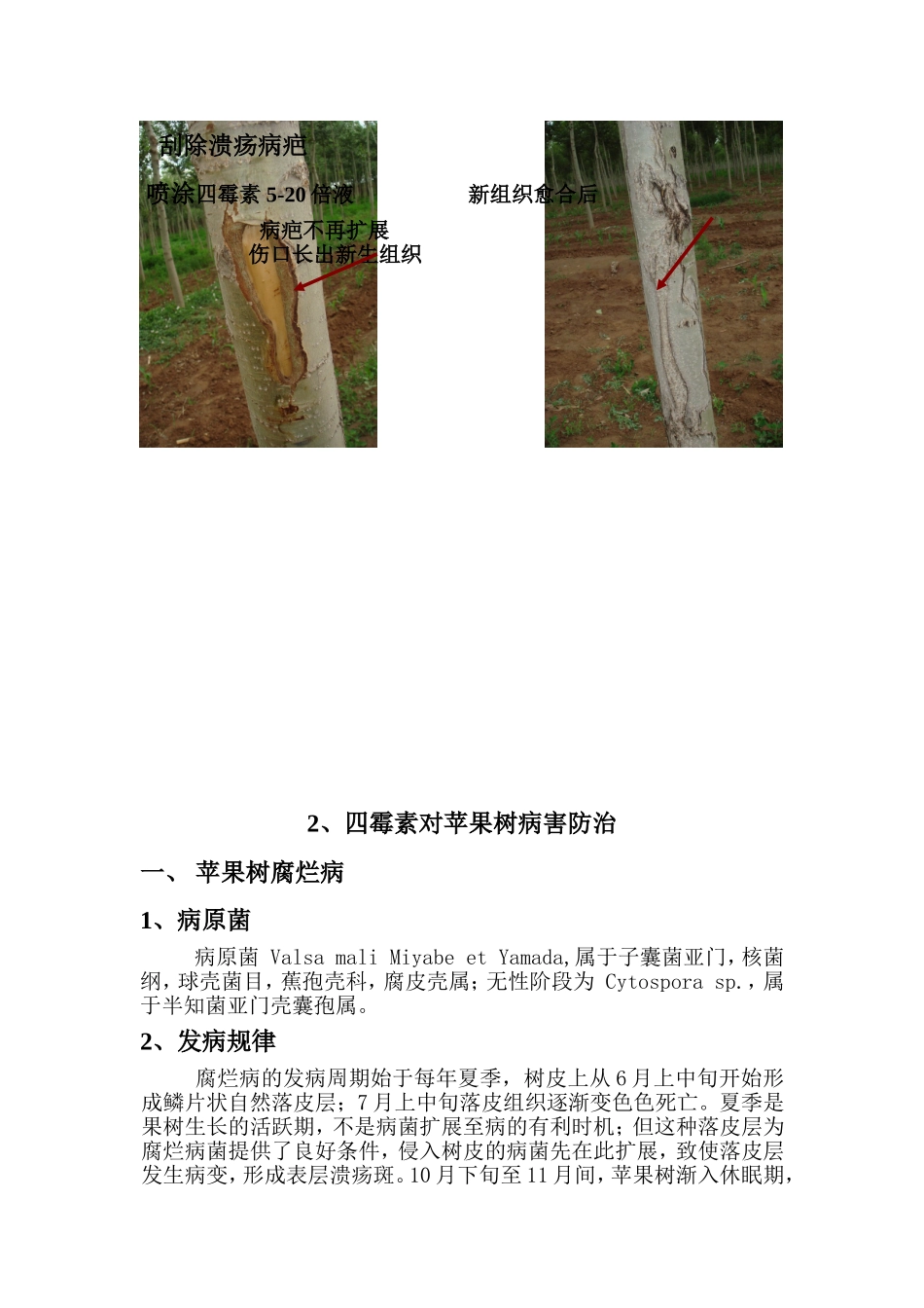 四霉素防治作物病害使用手册_第3页
