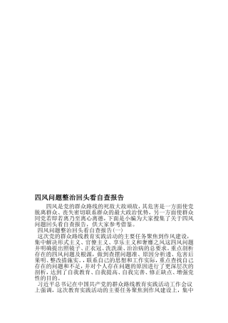 四风问题整治回头看自查报告-2019年文档