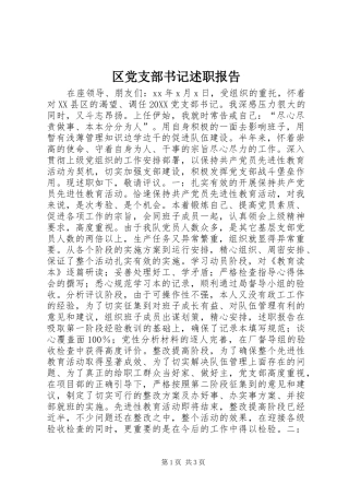 2024年区党支部书记述职报告