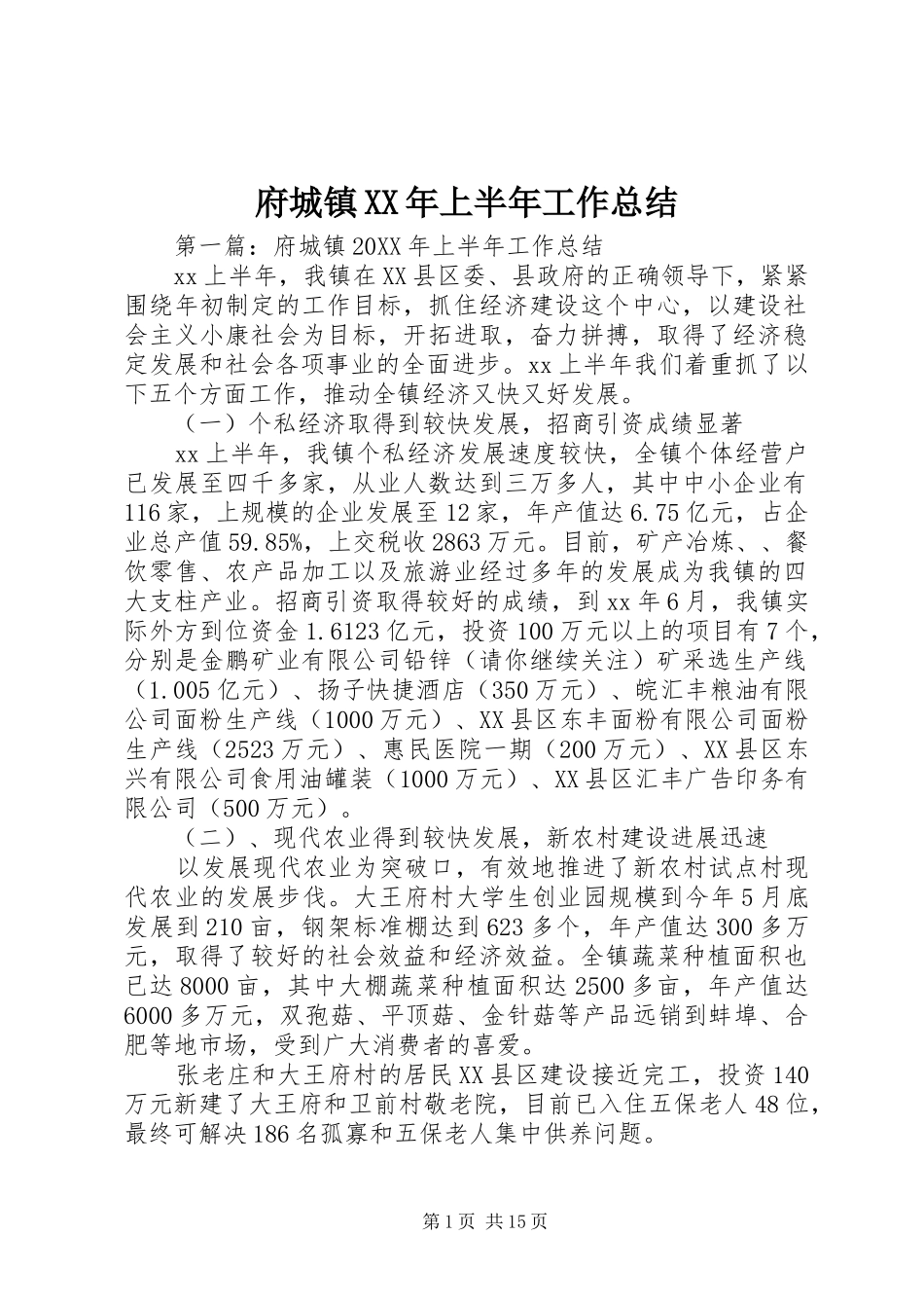 2024年府城镇上半年工作总结_第1页