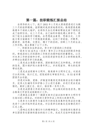 2024年挂职锻炼汇报总结