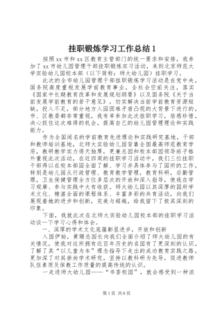 2024年挂职锻炼学习工作总结