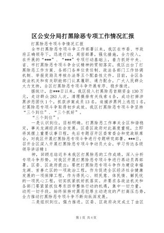 2024年区公安分局打黑除恶专项工作情况汇报