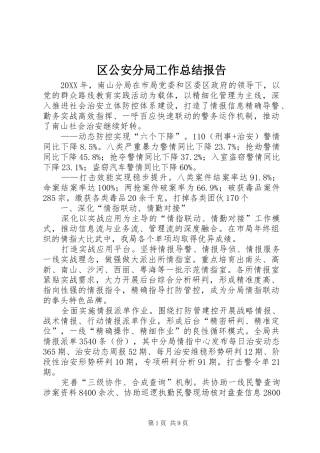 2024年区公安分局工作总结报告