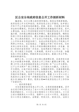 2024年区公安分局政府信息公开工作剖析材料