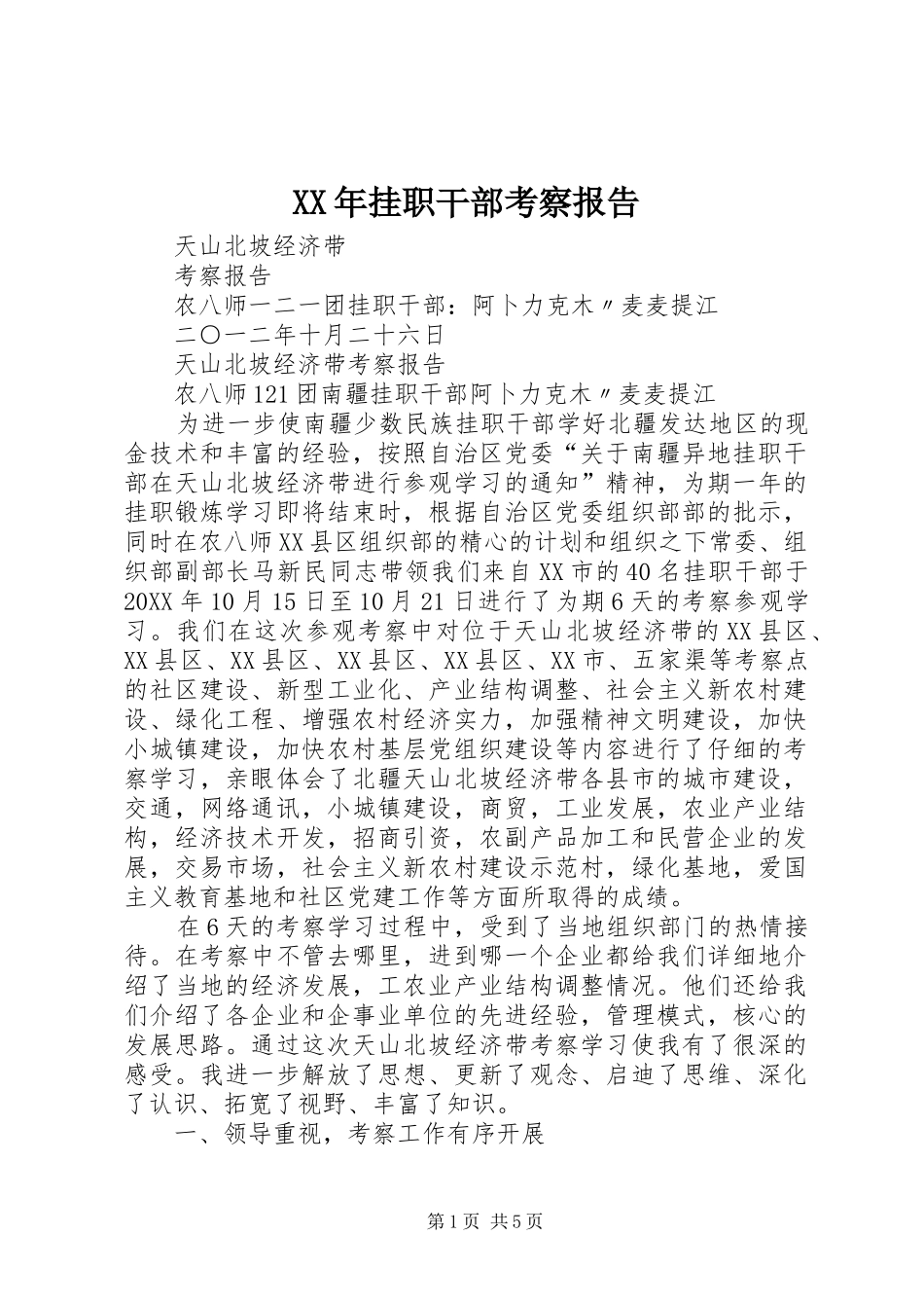 2024年挂职干部考察报告_第1页