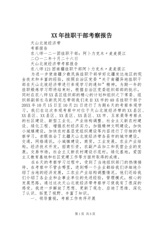 2024年挂职干部考察报告