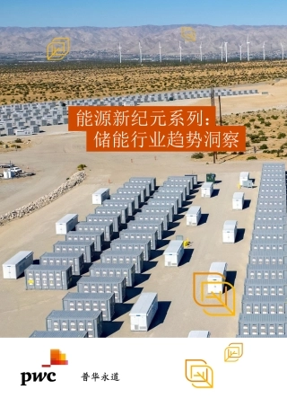 【普华永道】2024能源新纪元系列：储能行业趋势洞察篇报告