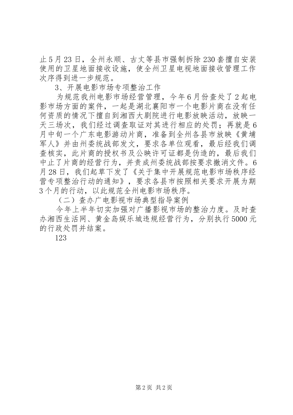 2024年广电文化市场行政执法工作总结_第2页