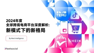 【飞书深诺】2024年度全球跨境电商平台深度解析