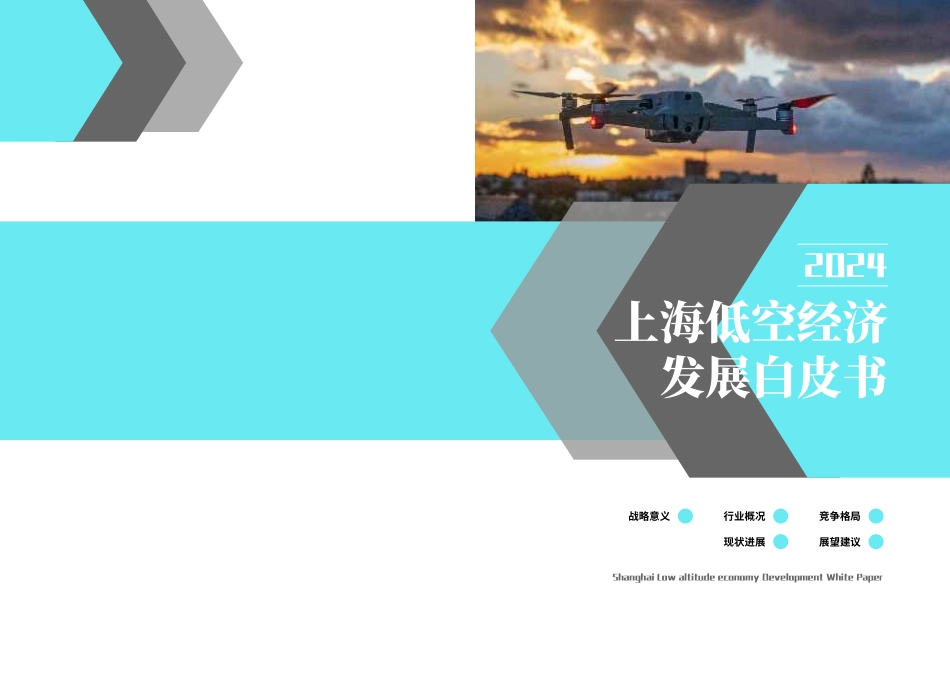 【上海中创产业创新研究院-上海交通大学航空航天学院】2024上海低空经济发展白皮书_第1页