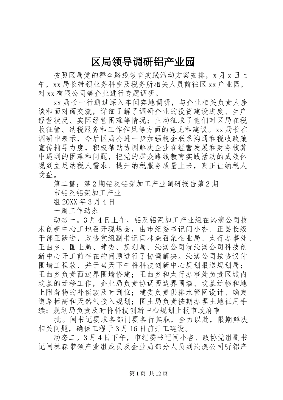 2024年区局领导调研铝产业园_第1页