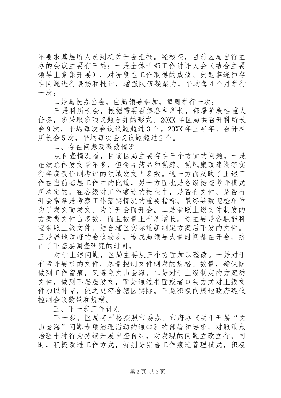 2024年区局文山会海问题专项治理活动自查自纠情况报告_第2页