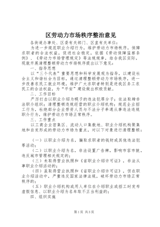 2024年区劳动力市场秩序整治意见