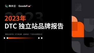 【有米云】2023年DTC独立站品牌报告