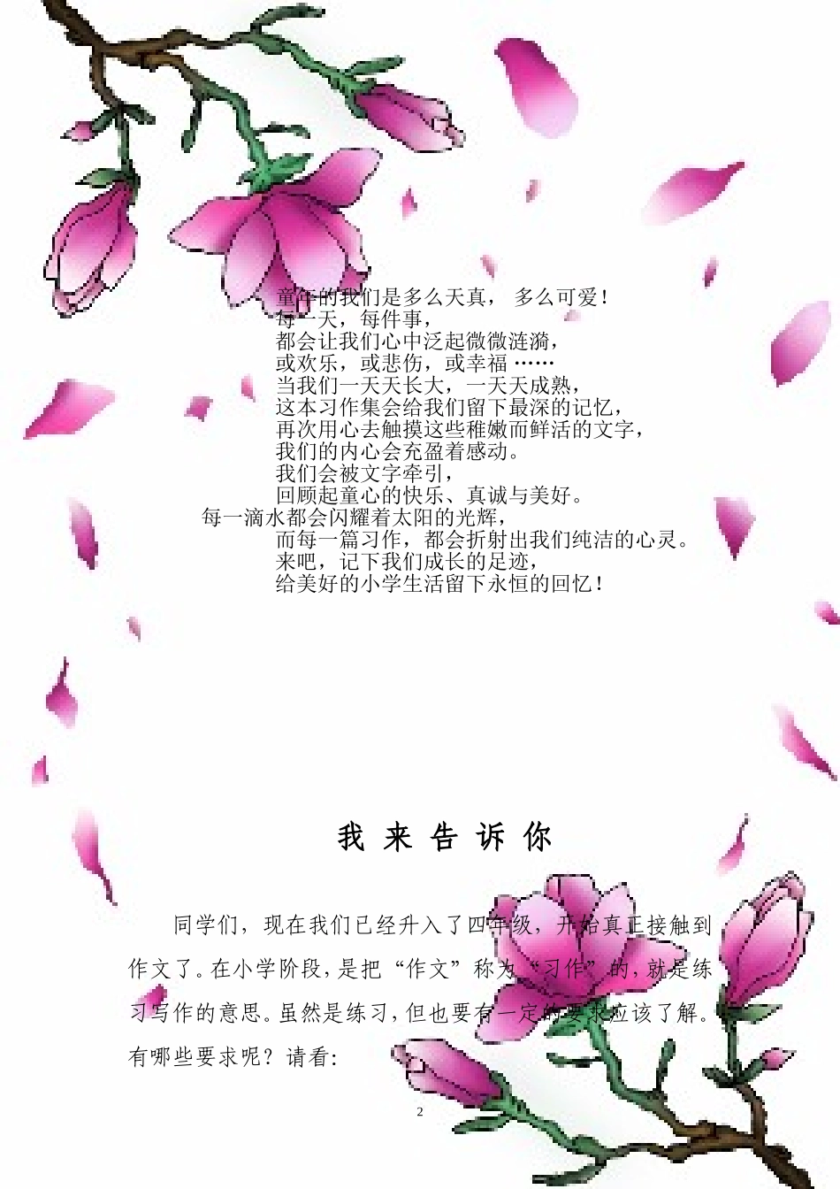 四年级小练笔_第2页