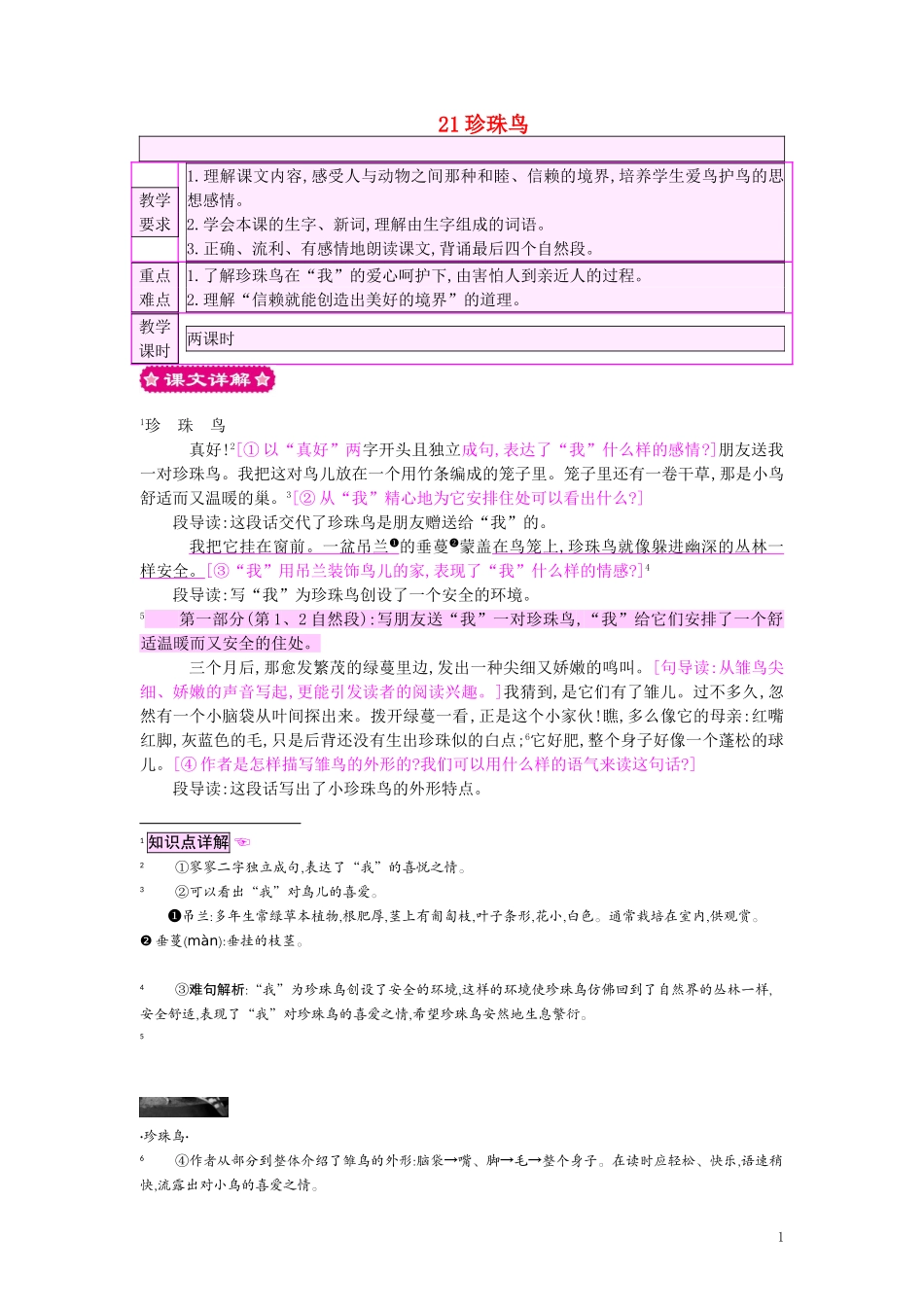 四年级语文上册-21珍珠鸟教案-苏教版_第1页