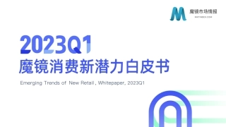 【魔镜市场情报】2023年Q1消费新潜力白皮书