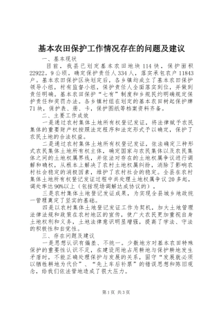 2024年基本农田保护工作情况存在的问题及建议