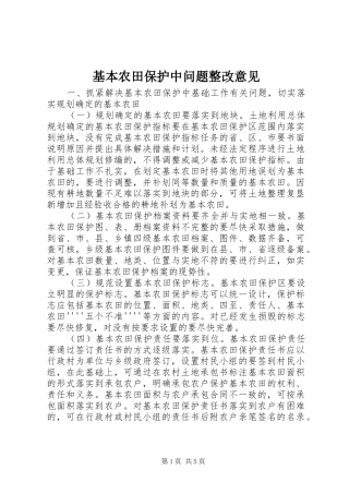 2024年基本农田保护中问题整改意见