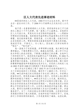 2024年区人大代表先进事迹材料