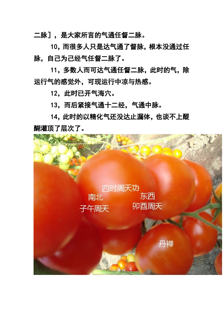 四种任督二脉运行路线_第3页