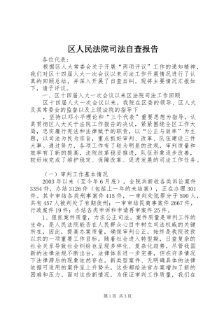 2024年区人民法院司法自查报告
