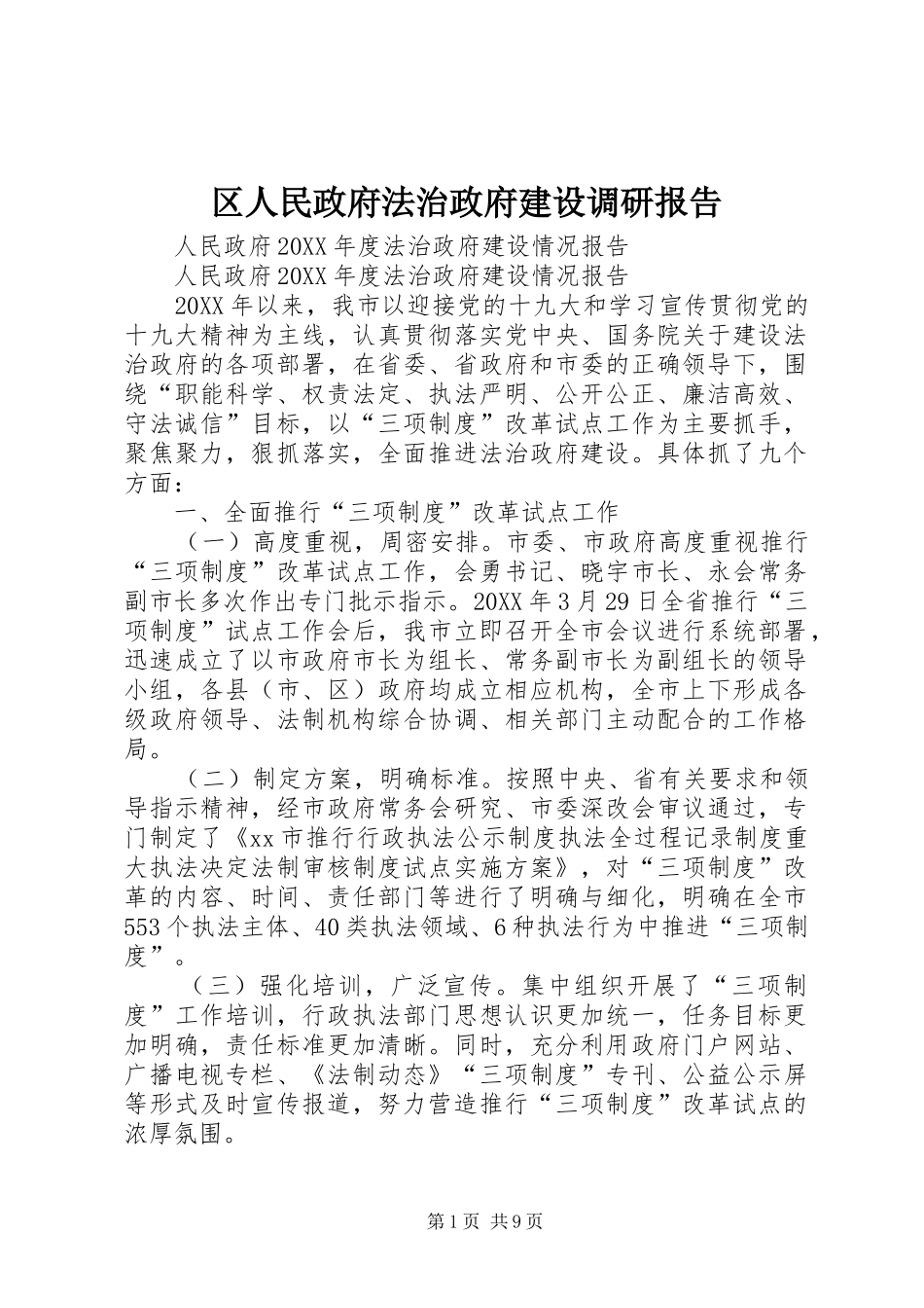 2024年区人民政府法治政府建设调研报告_第1页