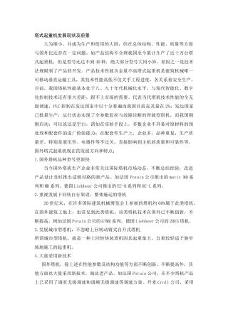 塔式起重机发展现状及前景