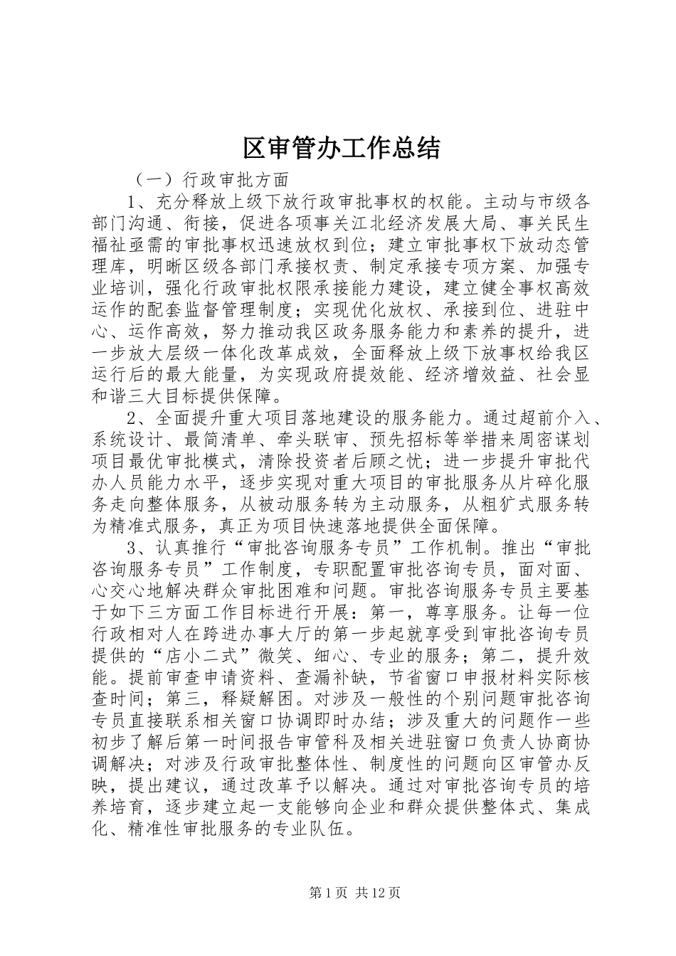 2024年区审管办工作总结_第1页