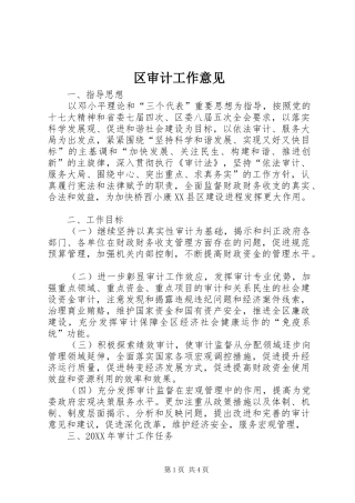 2024年区审计工作意见
