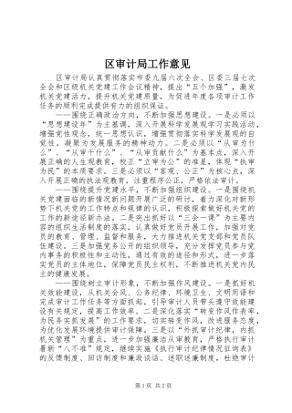 2024年区审计局工作意见