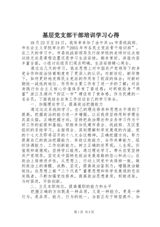 2024年基层党支部干部培训学习心得