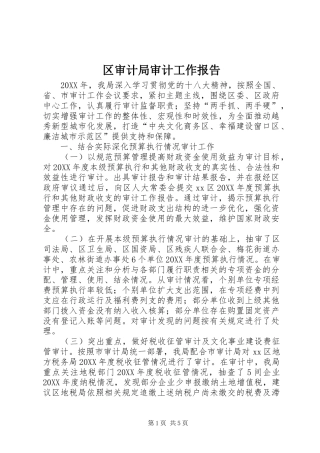 2024年区审计局审计工作报告