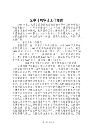 2024年区审计局审计工作总结