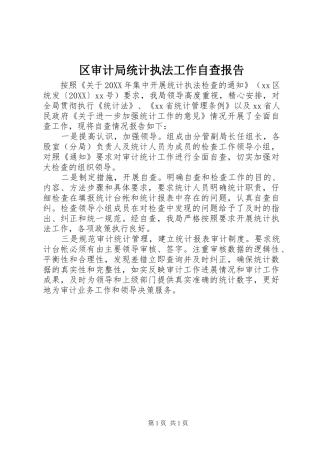 2024年区审计局统计执法工作自查报告