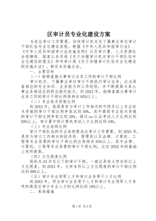 2024年区审计员专业化建设方案